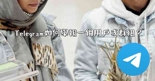<b>Telegram如何舉報一個用戶或群組？</b>