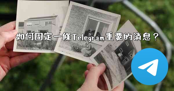 如何固定一條Telegram重要的消息？