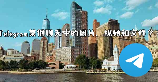 如何只查看Telegram某個聊天中的圖片、視頻和文件？