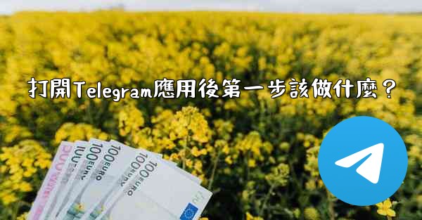 <b>打開Telegram應用後第一步該做什麼？</b>