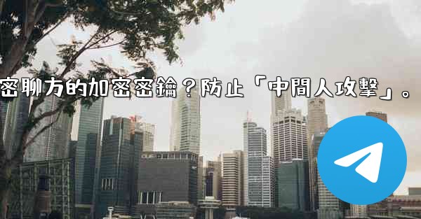 <b>Telegram如何驗證秘密聊方的加密密鑰？防止「中間人攻擊」。</b>