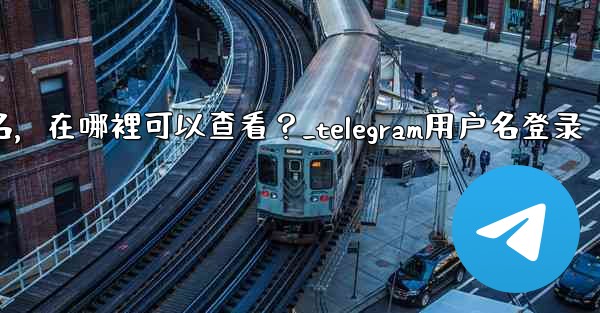 <b>我忘記了Telegram用戶名，在哪裡可以查看？_telegram用户名登录</b>