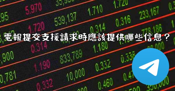 電報提交支援請求時應該提供哪些信息？