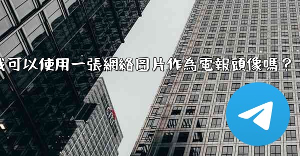 <b>我可以使用一張網絡圖片作為電報頭像嗎？</b>
