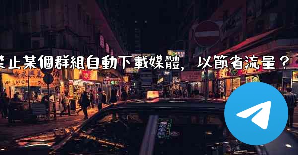 <b>電報如何禁止某個群組自動下載媒體，以節省流量？</b>
