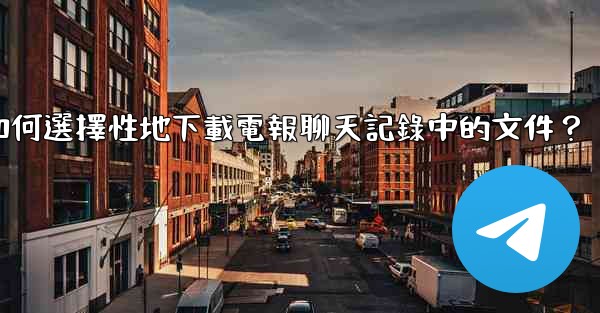 如何選擇性地下載電報聊天記錄中的文件？