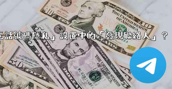 在電報使用中，什麼是「電話號碼隱私」設置中的「發現聯絡人」？