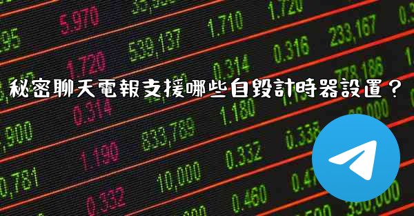 秘密聊天電報支援哪些自毀計時器設置？