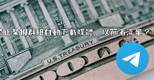 電報如何禁止某個群組自動下載媒體，以節省流量？