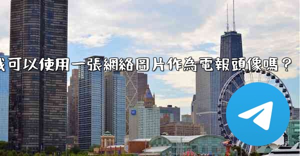 我可以使用一張網絡圖片作為電報頭像嗎？