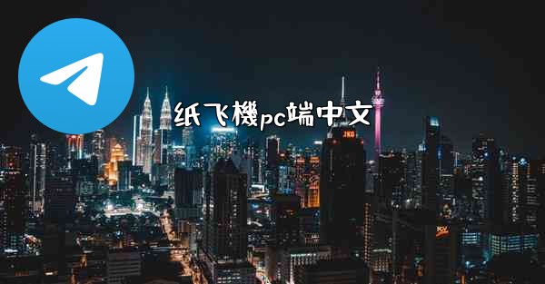 纸飞機pc端中文