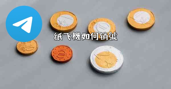 纸飞機如何销號