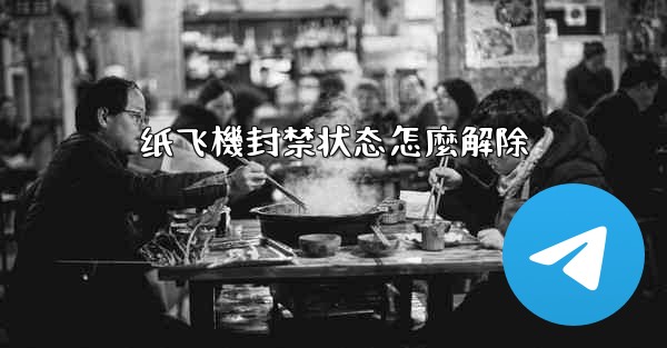 纸飞機封禁状态怎麼解除