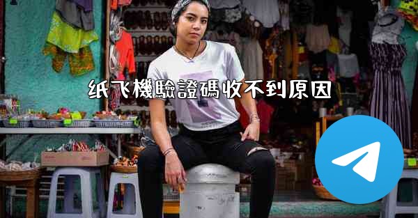 纸飞機驗證碼收不到原因