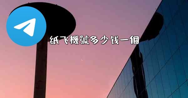 纸飞機號多少钱一個