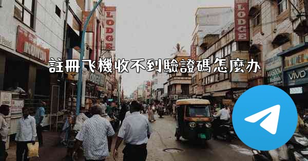 註冊飞機收不到驗證碼怎麼办