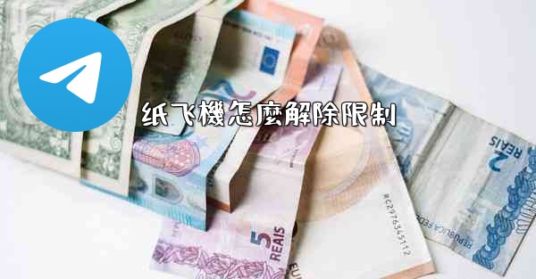 纸飞機怎麼解除限制