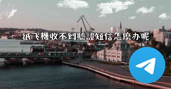 纸飞機收不到驗證短信怎麼办呢