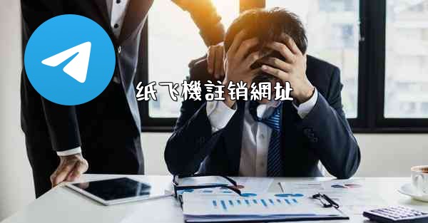 纸飞機註销網址