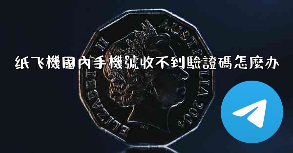 纸飞機國內手機號收不到驗證碼怎麼办