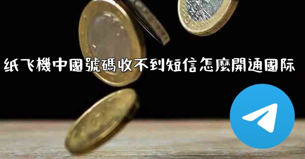 纸飞機中國號碼收不到短信怎麼開通國际
