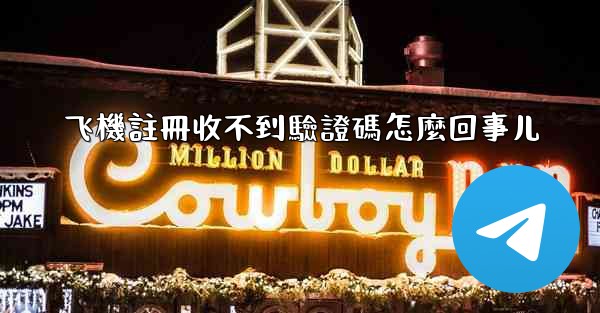 飞機註冊收不到驗證碼怎麼回事儿