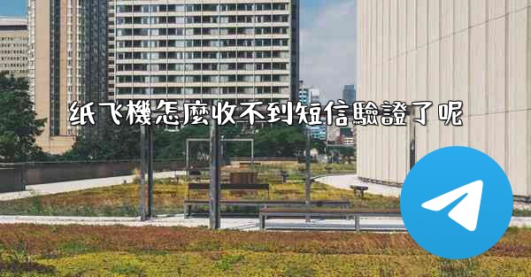 纸飞機怎麼收不到短信驗證了呢