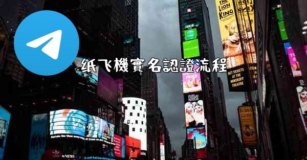 纸飞機實名認證流程