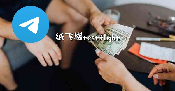 纸飞機testflight