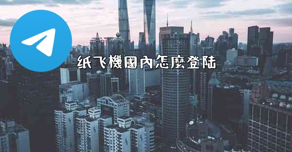 纸飞機國內怎麼登陆