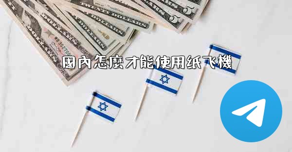 <b>國內怎麼才能使用纸飞機</b>