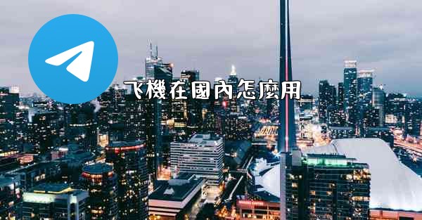 飞機在國內怎麼用