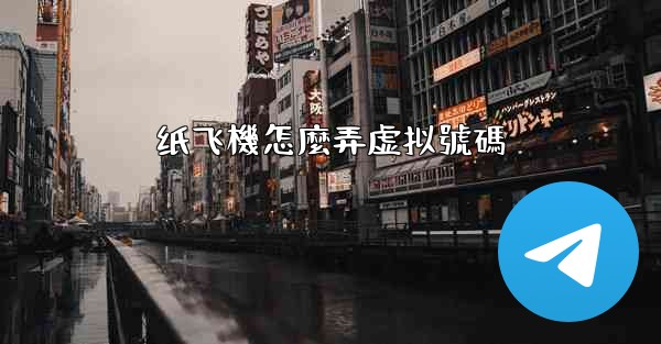 纸飞機怎麼弄虚拟號碼