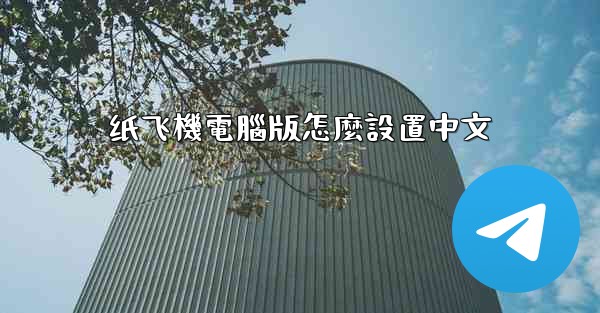 纸飞機電腦版怎麼設置中文