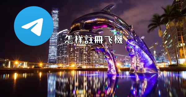 怎样註冊飞機