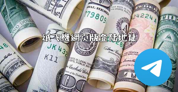 纸飞機網页版登陆地址