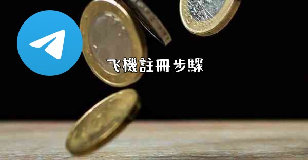 <b>飞機註冊步驟</b>