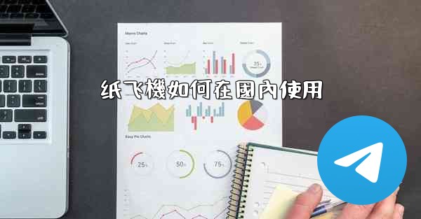 纸飞機如何在國內使用