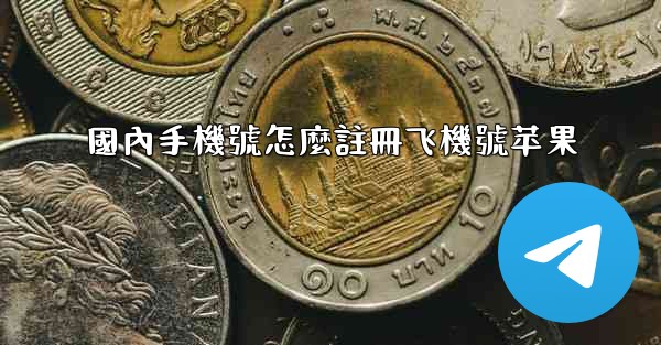 國內手機號怎麼註冊飞機號苹果