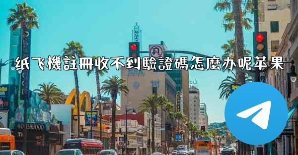 <b>纸飞機註冊收不到驗證碼怎麼办呢苹果</b>