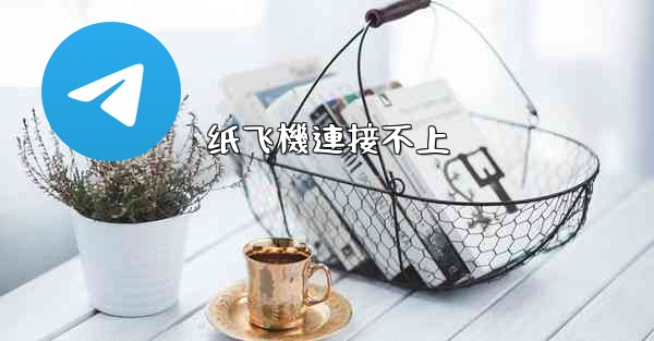纸飞機連接不上