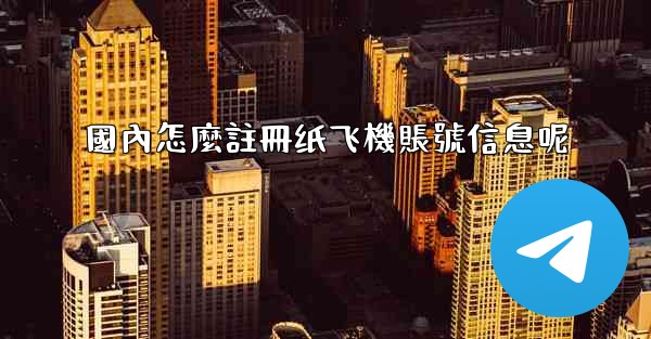 國內怎麼註冊纸飞機賬號信息呢