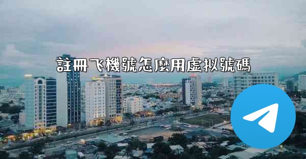 註冊飞機號怎麼用虚拟號碼