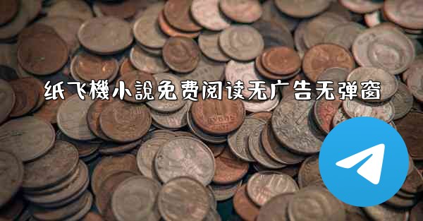 纸飞機小說免费阅读无广告无弹窗