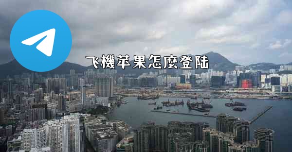 飞機苹果怎麼登陆