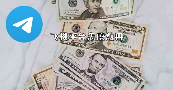 飞機平台怎麼註冊