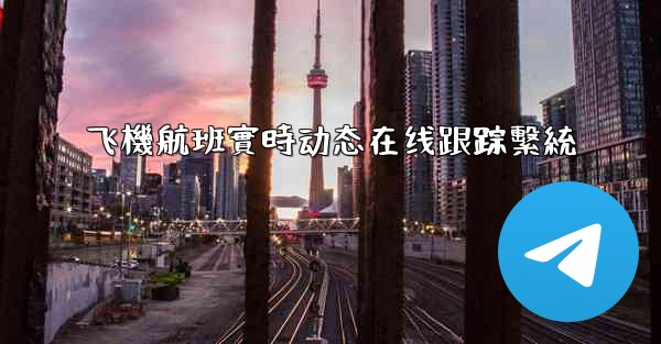 飞機航班實時动态在线跟踪繫統