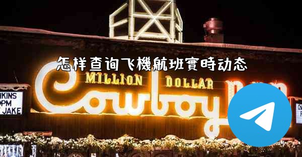 <b>怎样查询飞機航班實時动态</b>