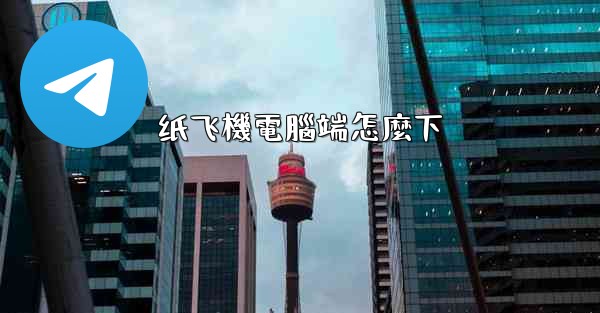 纸飞機電腦端怎麼下