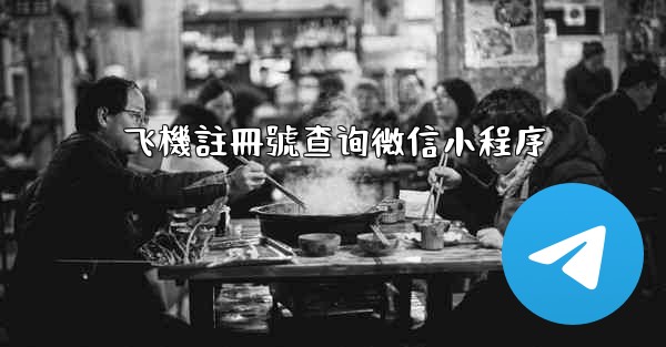 飞機註冊號查询微信小程序